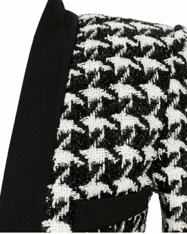 Celeste Tweed Houndstooth Blazer - Image 4